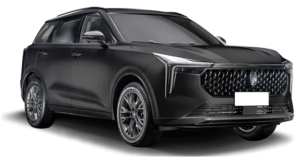  Bestune
                                    T55