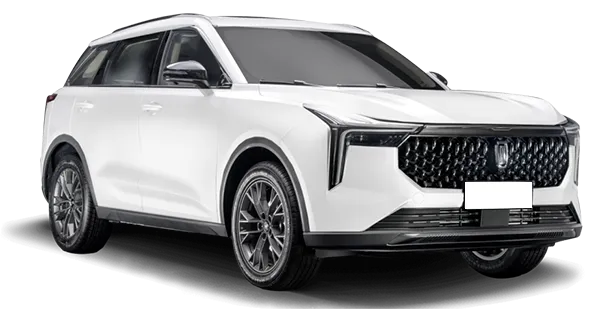  Bestune
                                    T55