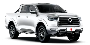 Great Wall Poer