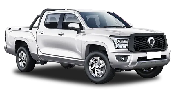  Great Wall
                                    Poer KingKong