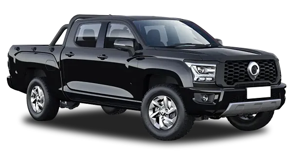  Great Wall
                                    Poer KingKong