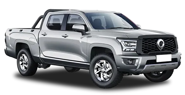  Great Wall
                                    Poer KingKong