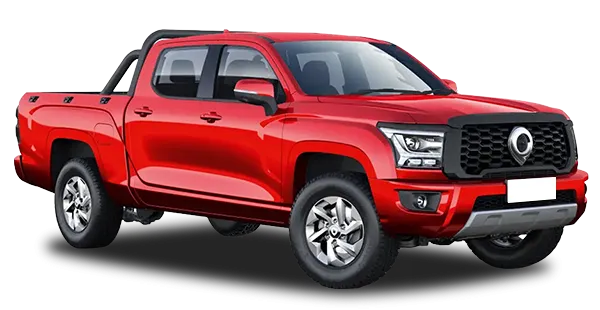  Great Wall
                                    Poer KingKong