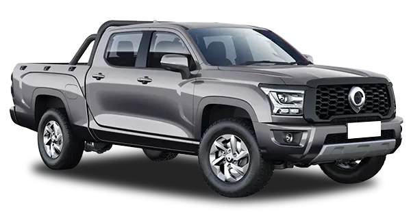  Great Wall
                                    Poer KingKong