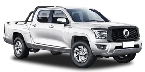 Great Wall Poer KingKong