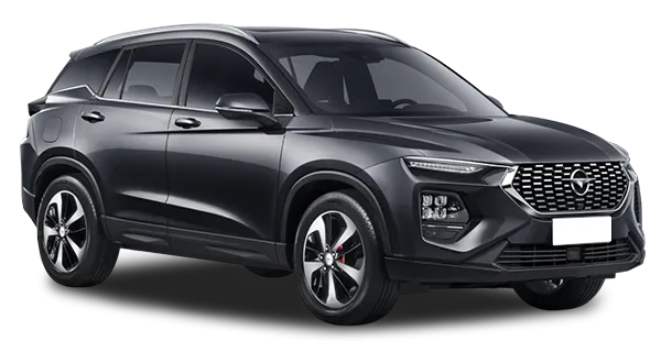  Haima
                                    8S