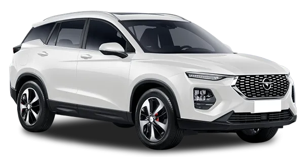  Haima
                                    8S