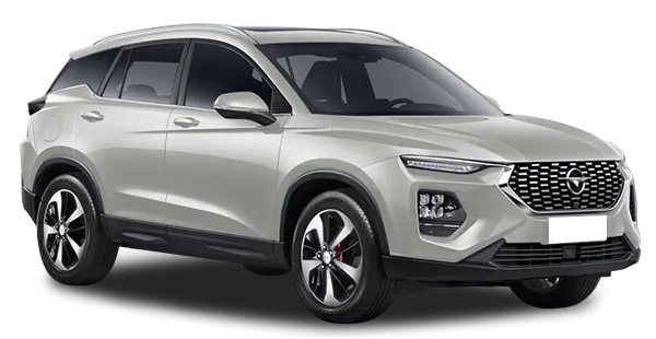  Haima
                                    8S