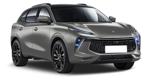  Forthing
                                    T5 EVO