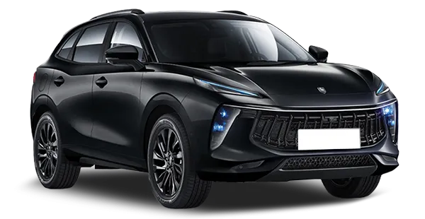  Forthing
                                    T5 EVO