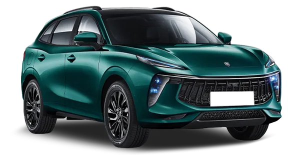  Forthing
                                    T5 EVO