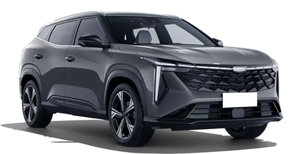  Geely
                                    Cityray