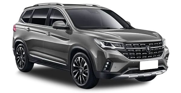  Forthing
                                    T5