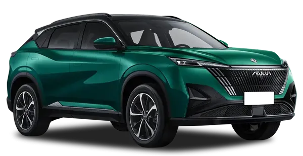  Dongfeng
                                    MAGE