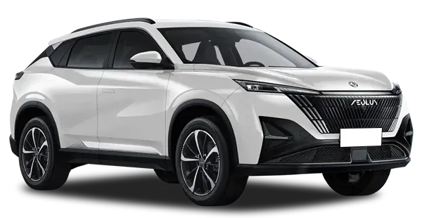  Dongfeng
                                    MAGE