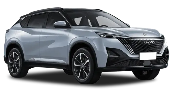  Dongfeng
                                    MAGE