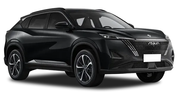  Dongfeng
                                    MAGE