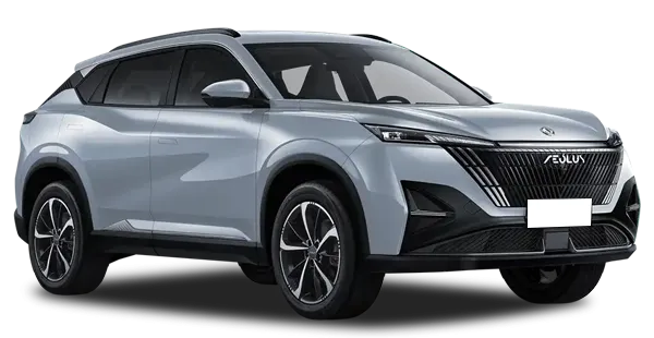  Dongfeng
                                    MAGE