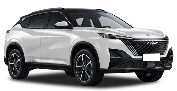  Dongfeng
                                    MAGE