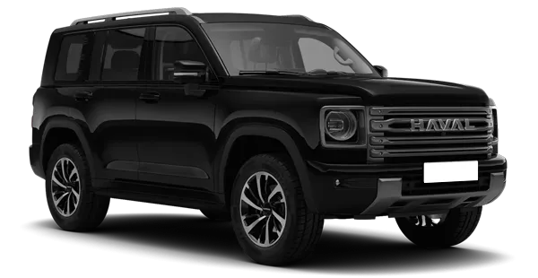  Haval
                                    H9