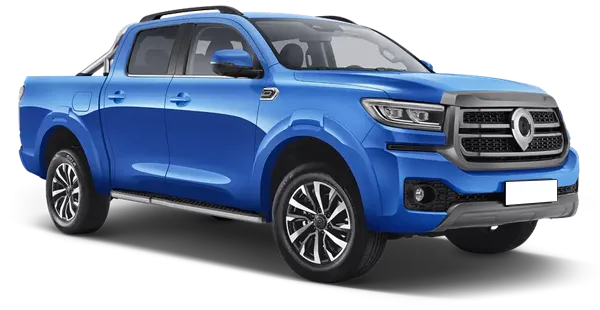  Great Wall
                                    Poer