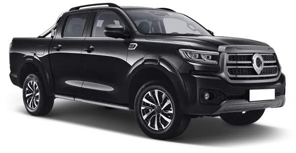  Great Wall
                                    Poer